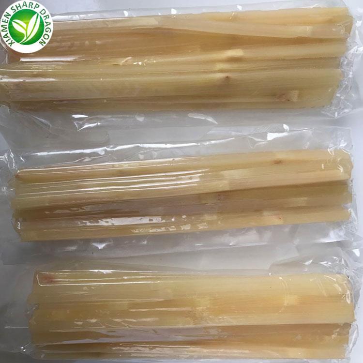 XMSD sweet sugarcane fresh product for export