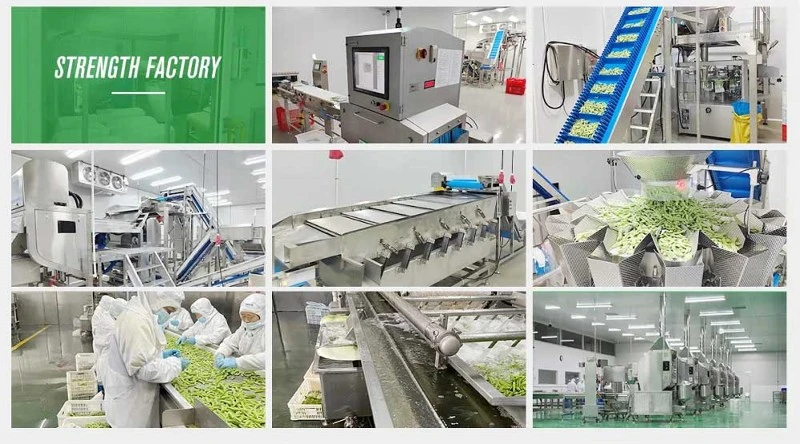 XMSD factory XMSD factory