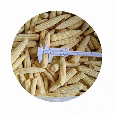 Fagyasztott Baba Kukorica A Cob