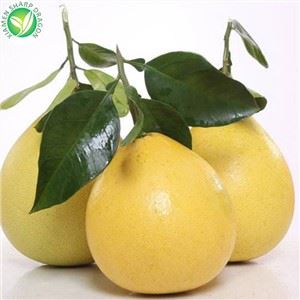 Új szezon Grapefruit Supply