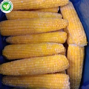 Biofagyasztott csemegekukorica