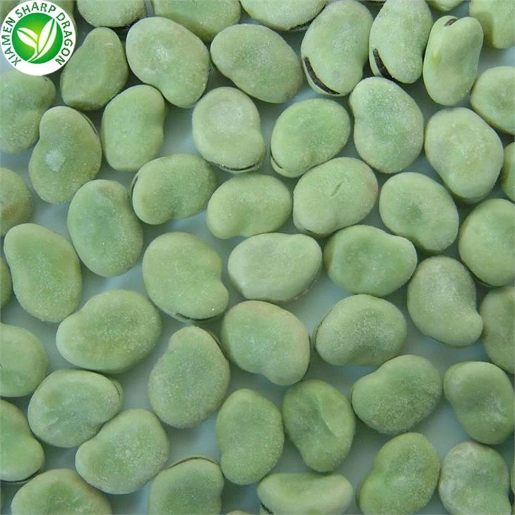 A Grade Frozen Fava Beans