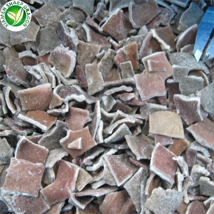 Freeze Black Fungus Edge