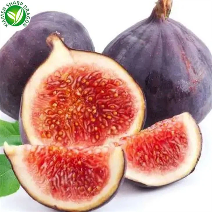 The Best Figs